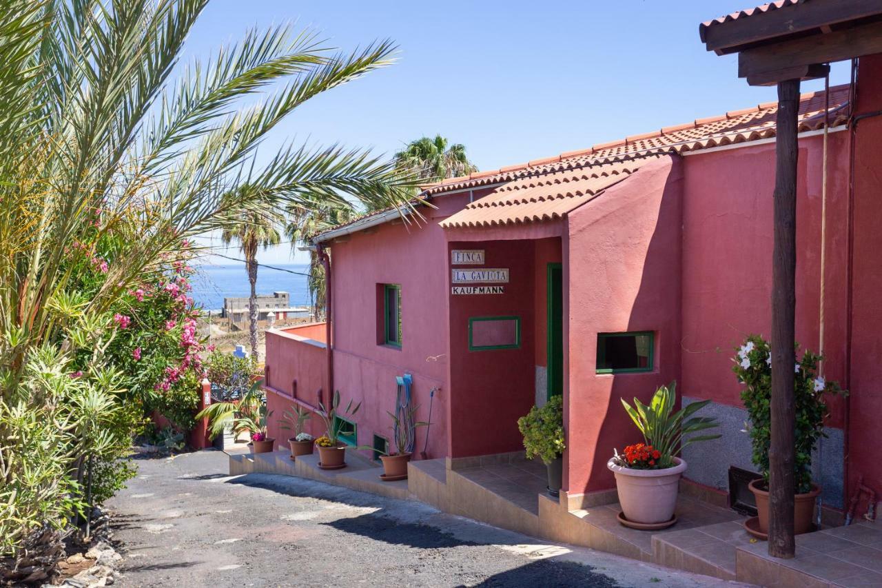 Finca La Gaviota - El Rincon Icod de los Vinos Kültér fotó